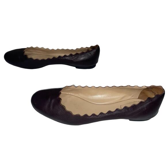 Chloé Lauren Scalloped Leather Ballerina Flats in Dark Brown  Size: EU 40 US 10 - Picture 4 of 9